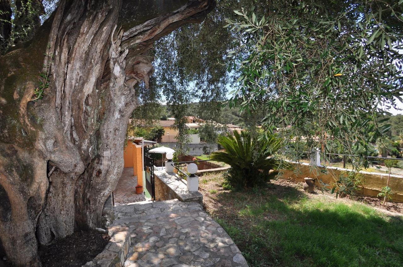 Maria - Roumanis Apartamento Liapades