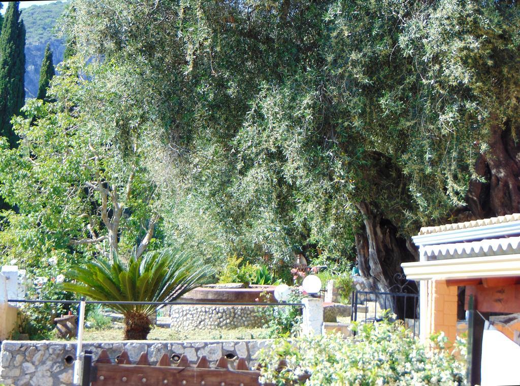 Apartament Maria - Roumanis *